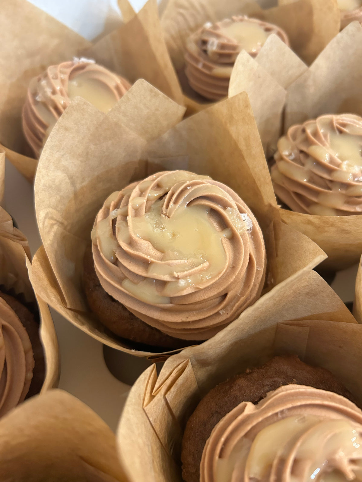 Specialty Cupcakes
